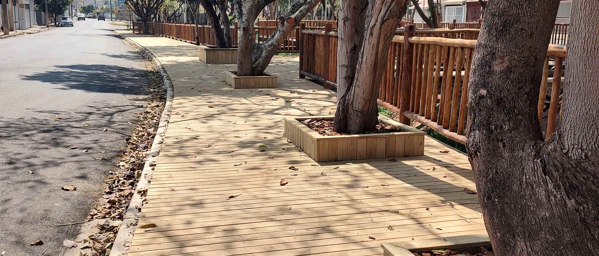 Deck de tábuas de madeira clara recém-instalado contornando o tronco de uma árvore grande, com folhas secas sobre as réguas e estrutura rústica de madeira ao fundo